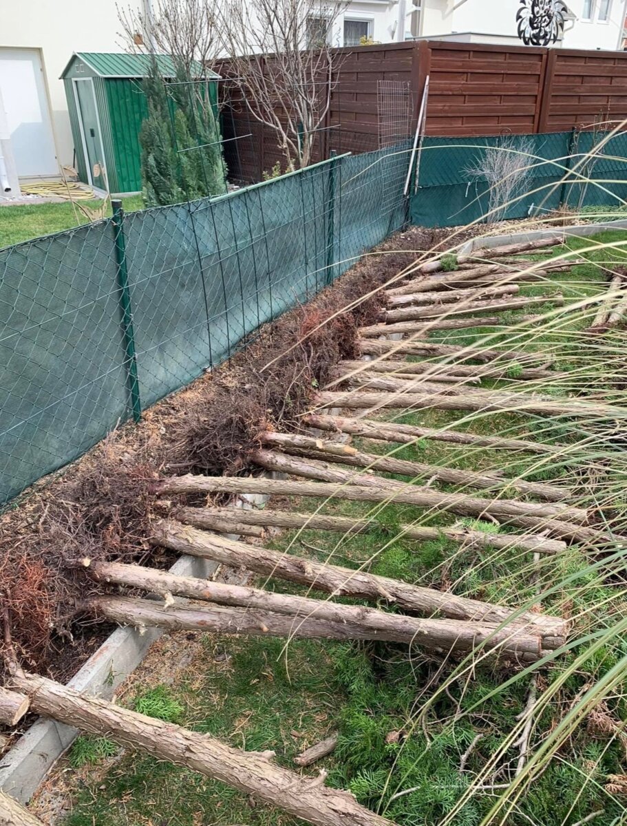 regelmäßige komplette Gartenhaltung