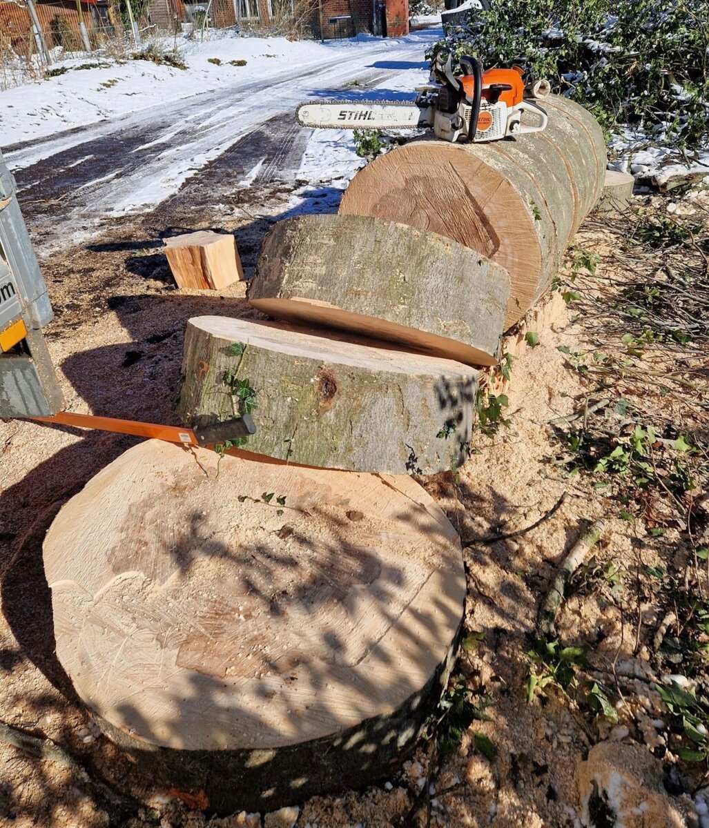 Baumfällung Gartenservice ANGELON