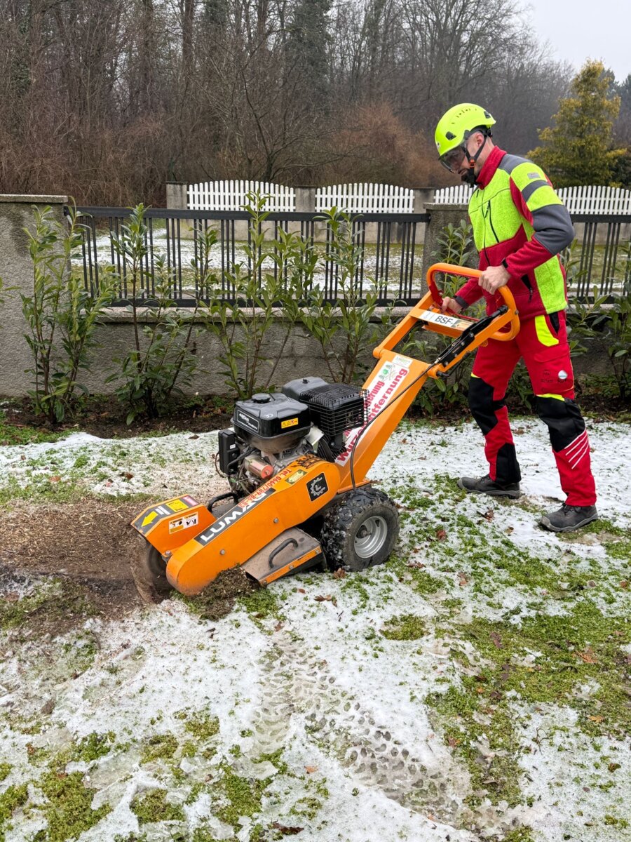 Wurzelentfernung Gartenservice ANGELON