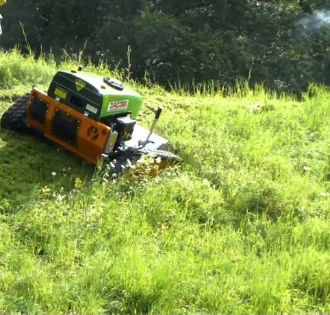 Rasen mähen lassen von Gartenservice ANGELON